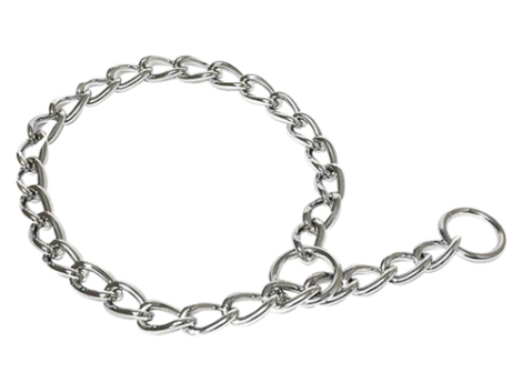 perro-collar-castigo-270509