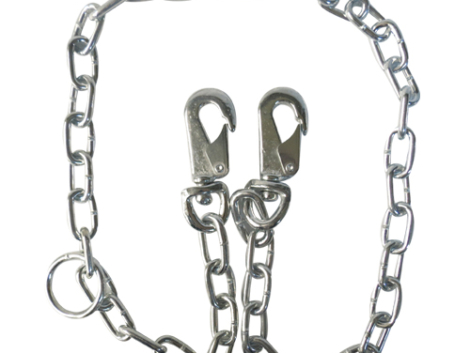 perro-correa-c-soldada-270526