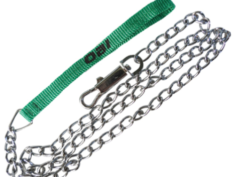 perro-correa-cadena-270523